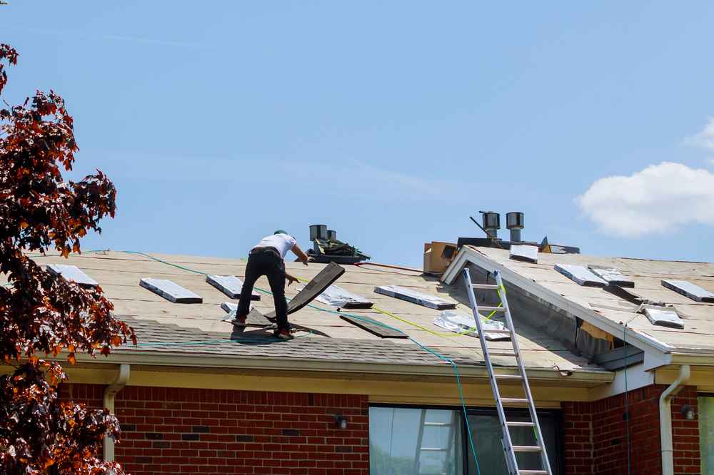 Trusted Roof Repair Expert