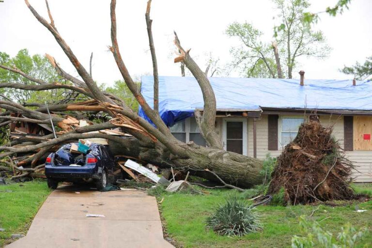 Trusted Storm Damage Restoration in Jordan Lake, AL