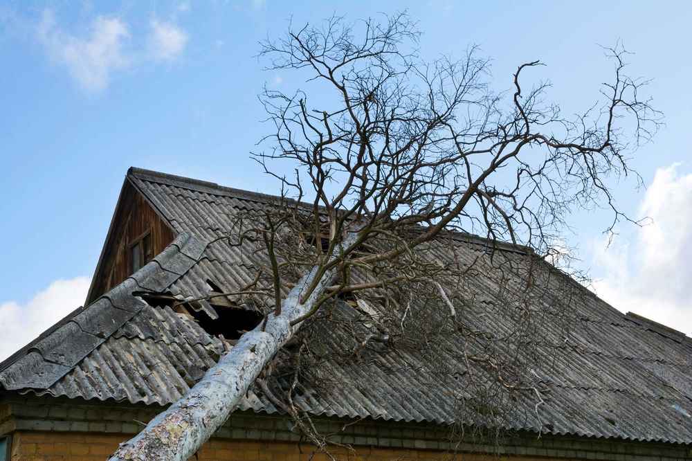 Trusted Storm Damage Roof Repair in Alabama