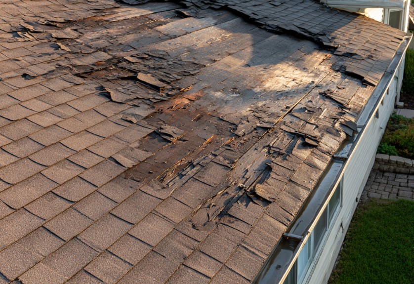 storm damage roof insurance claim in Alabama